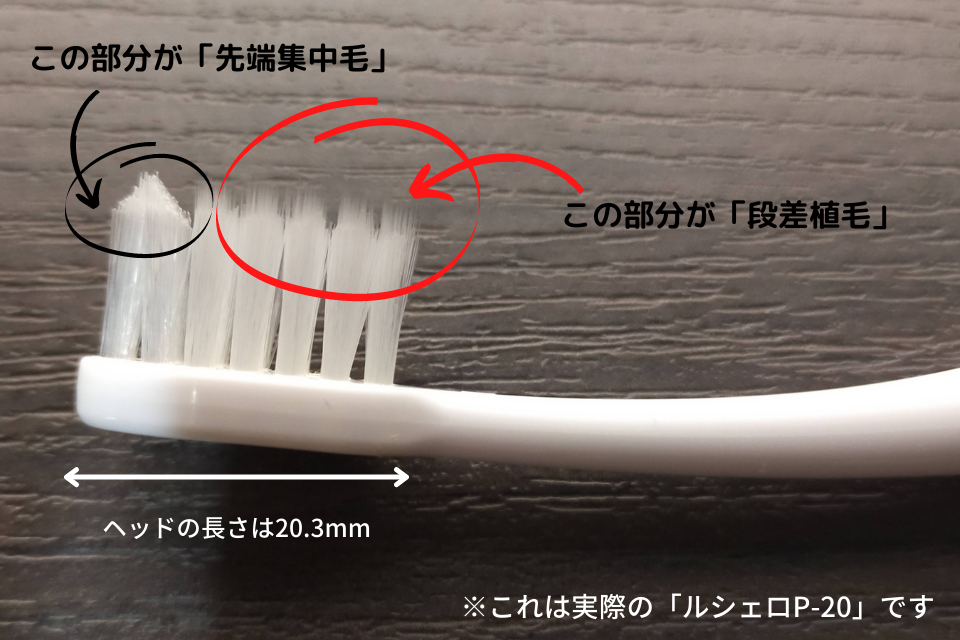 lucero_toothbrush2